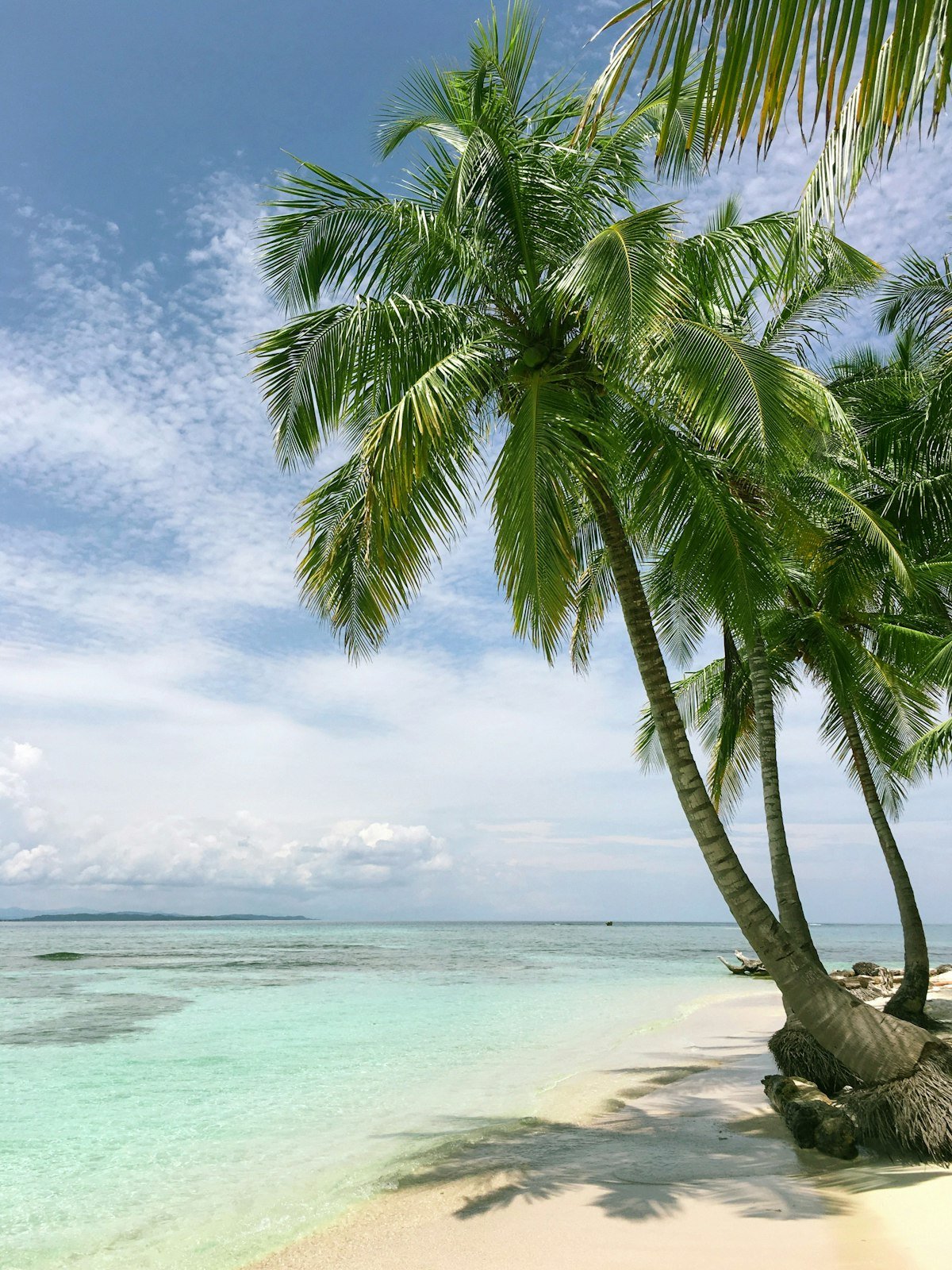 White sand beach with coconut palm trees leaning over turquoise Caribbean waters under blue skies