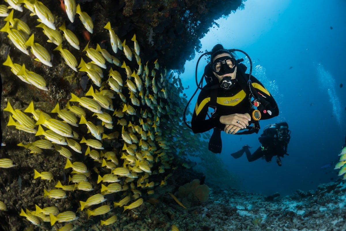 Snorkeler swimming above coral reef in clear Maldives waters